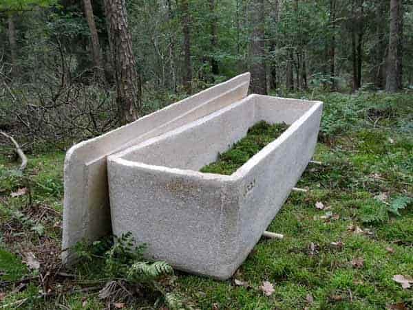 菌絲體和木屑製成的環保活棺材